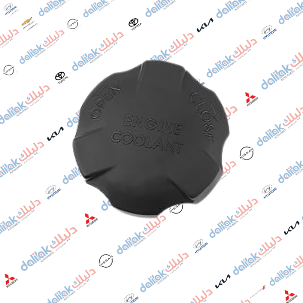 قبغ دبة ماء راديتر اكسنت 2011 كوبي