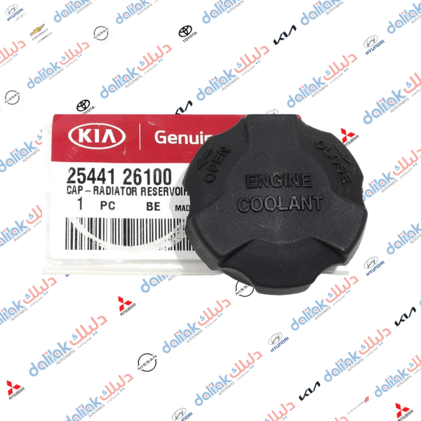 قبغ دبة ماء راديتر اكسنت 2011 موبس