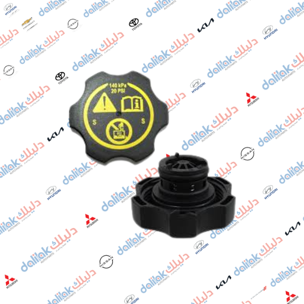 قبغ دبة ماء راديتر كروز-افيو سونك 2014-GM