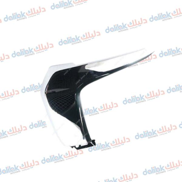 نيكل دعاميه امامي اعلى يسار اوت لاندر 2017