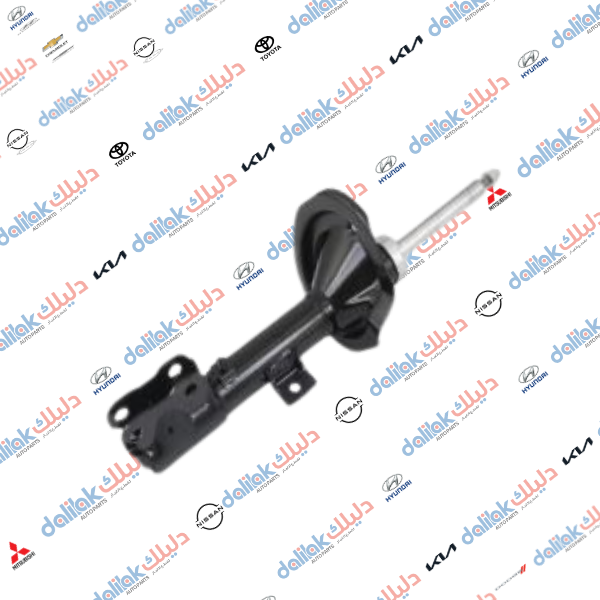 دبل امامي يمين اوت لاندر 2010-HF