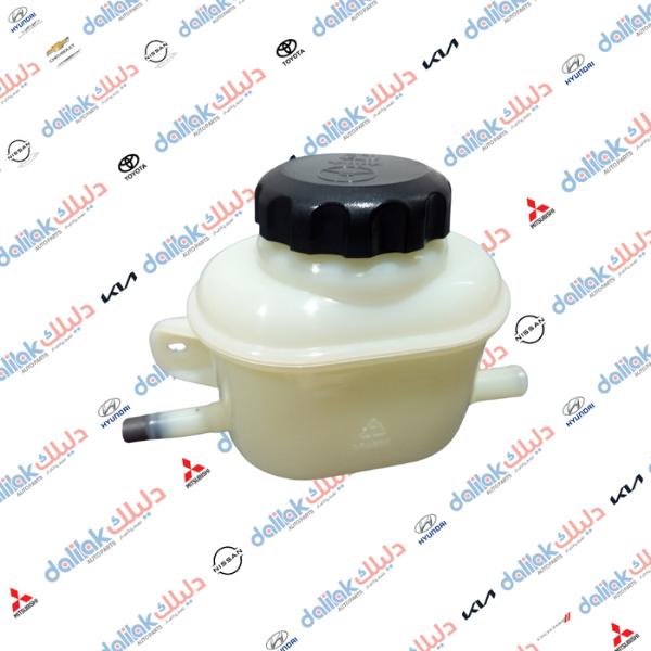 دبة بور استيرن اوبترا 2010 -GM