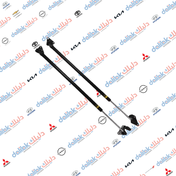 دبل باب خلفي ايمين هايس 2010-2017 كوبي