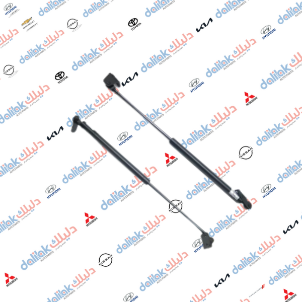 دبل باب خلفي يسار تريكان 2001-2006 كوبي