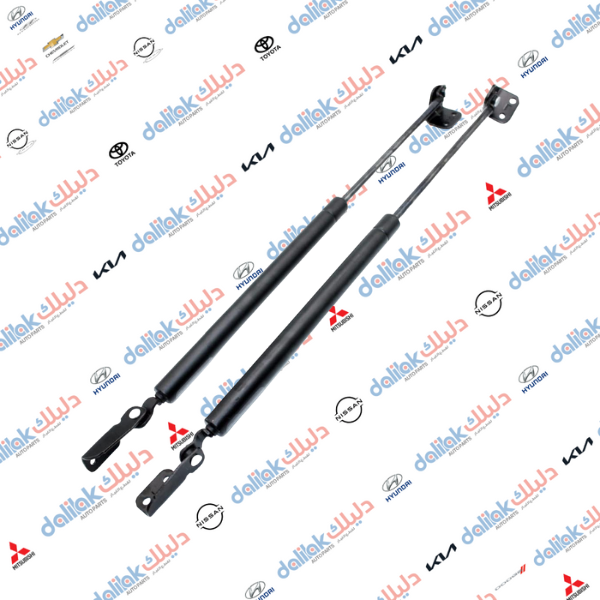 دبل بنيد امامي يسار تريكان 2005 موبس