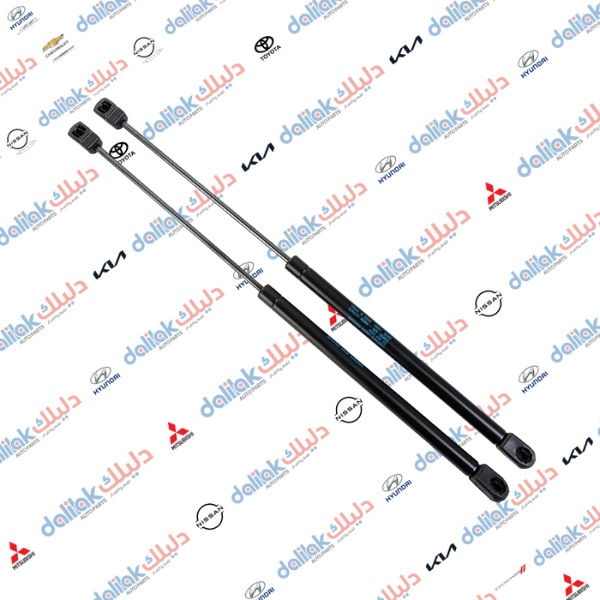 دبل بنيد سنتافيا 2010 كوبي