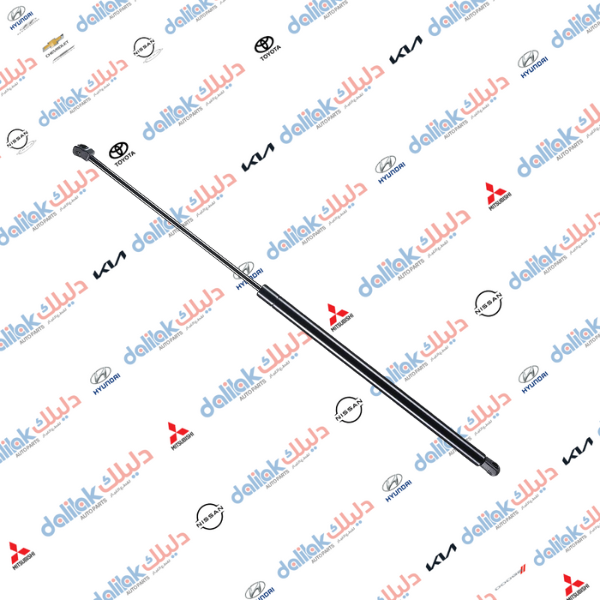 دبل بنيد سوناتا 2008-2010 كوبي