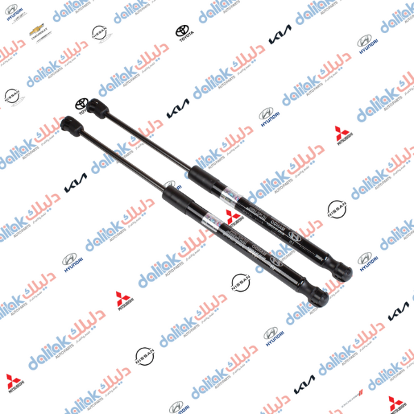 دبل بنيد سوناتا 2013 موبس