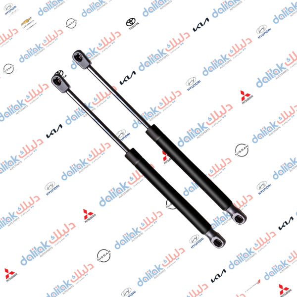 دبل صندوق كيا راندو -كارنز 2008-2012 كوبي