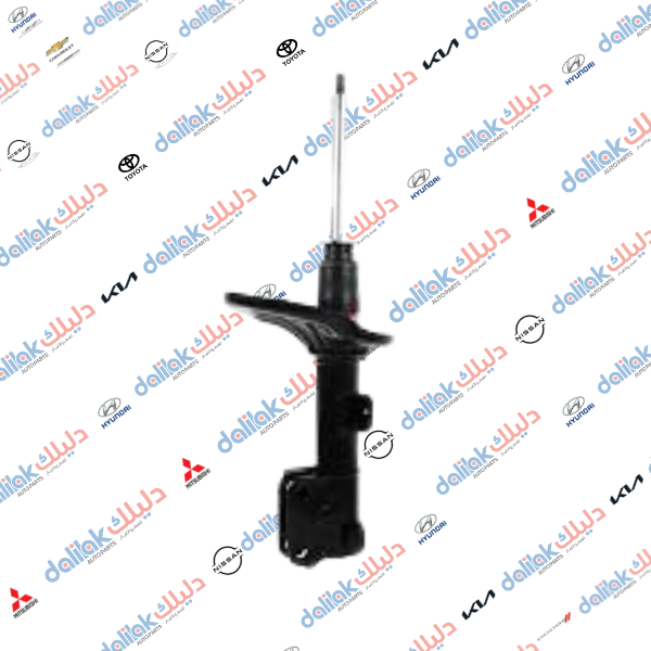 دبل امامي يمين كلانت 2010-KYB