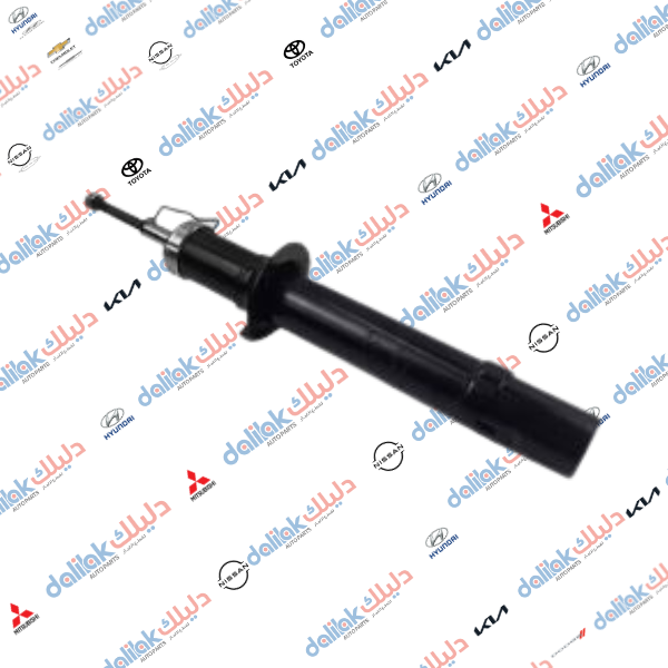 دبل امامي سوناتا 2010 HF