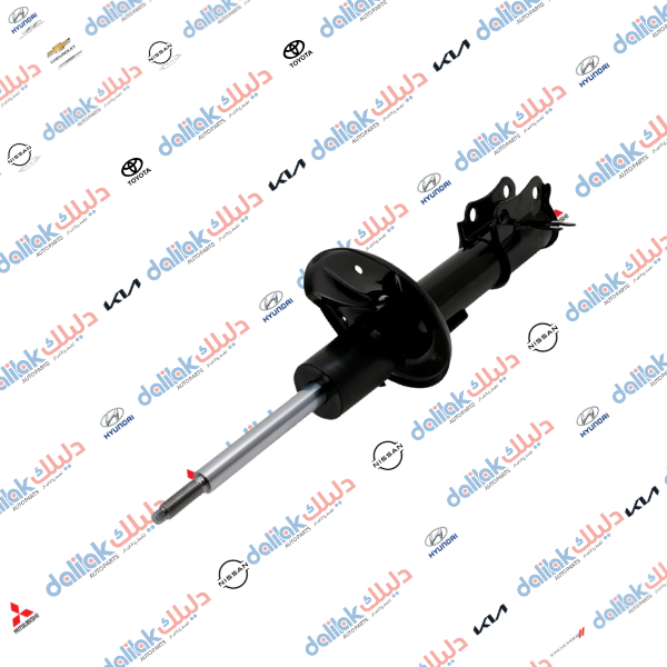 دبل امامي يسار افيو 2010 HF