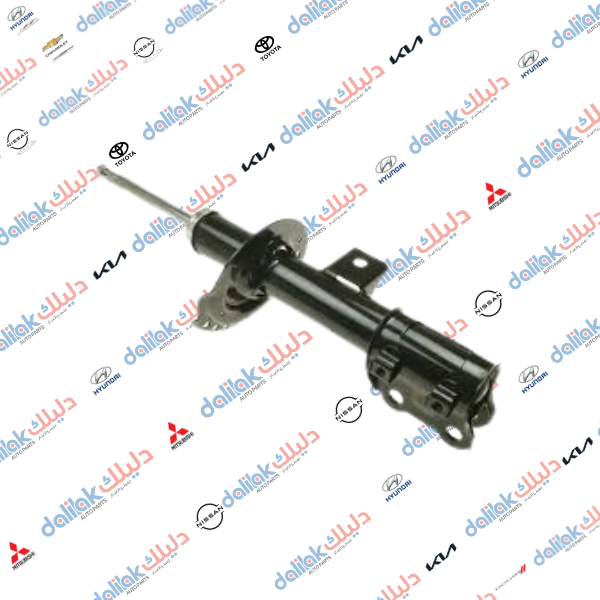 دبل امامي يسار النترا 2013 -HF