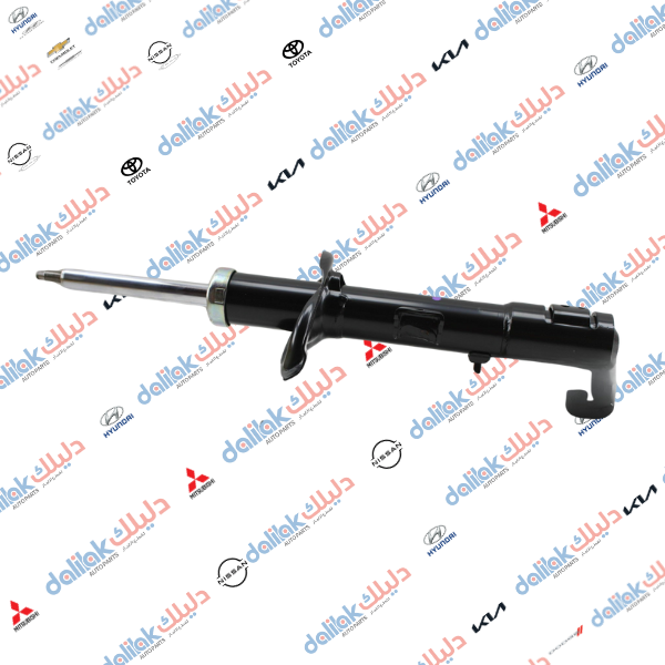 دبل امامي يسار اوت لاندر 2010--HF