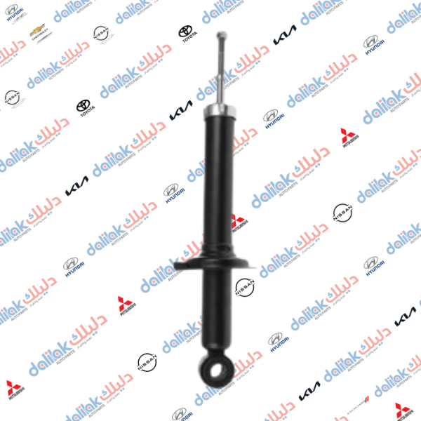 دبل خلفي سوناتا 2001-2005-HF