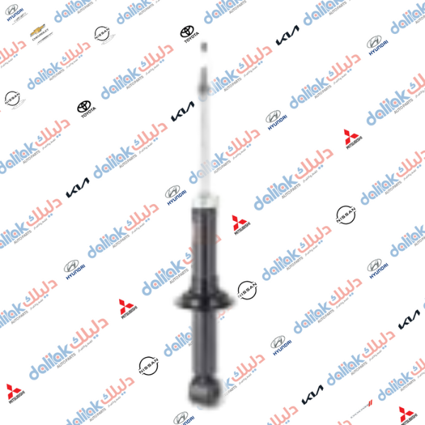 دبل خلفي كلانت 2010-HF