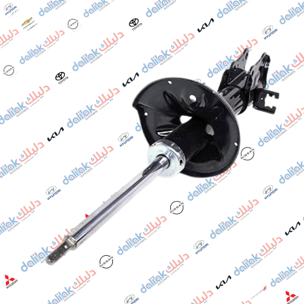 دبل خلفي يسار كيا سبكترا -النترا 2005 HF