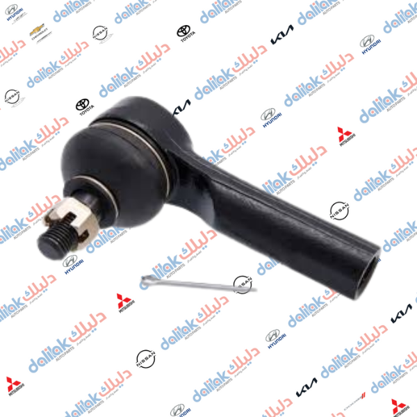 راس روط نيسان مكسما - سني 2010