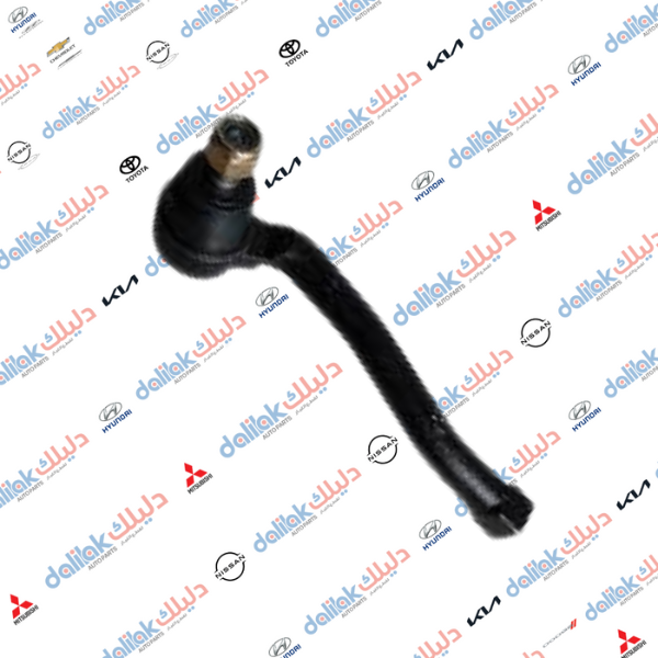 راس روط يسار افيو 2010 -TH