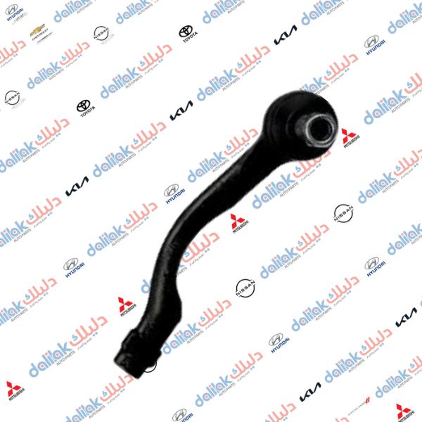 راس روط يسار مهافي 2010 TH