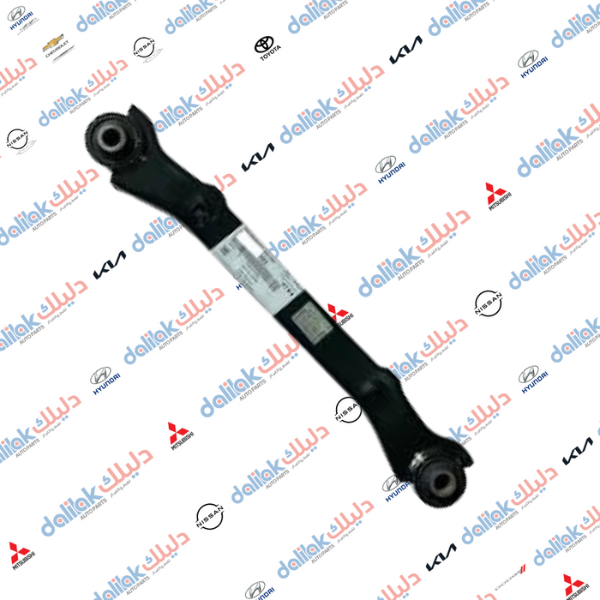 رباط خلفي ابو بوشتين سورنتو -سنتافيا 2014 كوبي