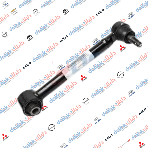 رباط خلفي ابو طوبة سورنتو -سنتافيا 2012 -2014