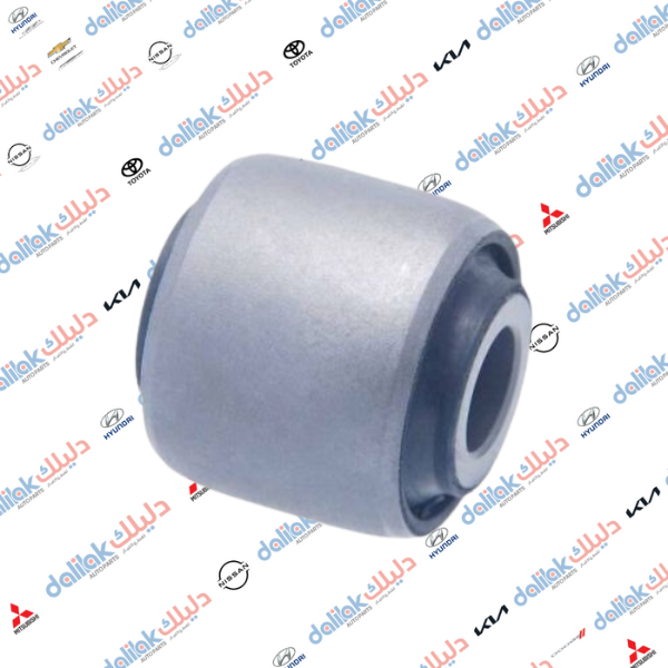 بوشة اسطاب اكسل النترا-كيا اوبتيما 2010 كوري