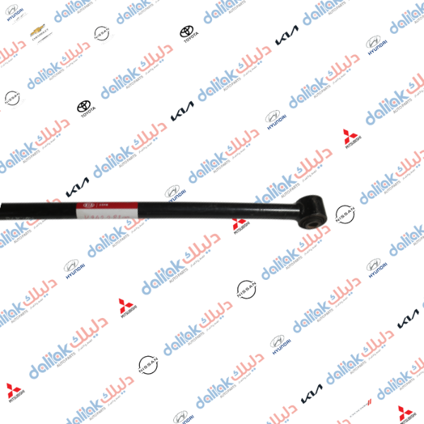 رباط خلفي كريدوس ابو بوشتين وبرغيين