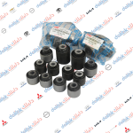 سيت بوش هاوزن سورنتو-سنتافيا 2021 كوري