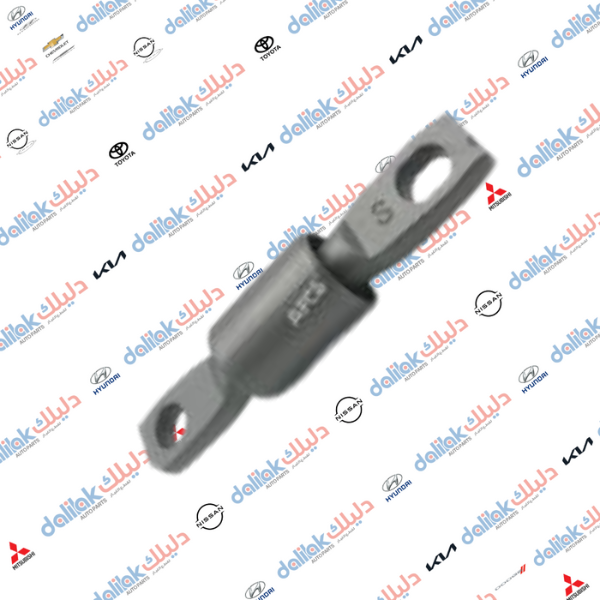 بوشة جكليتة كبيرة سنتافيا -توسان 2014 كوري