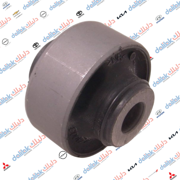 بوشة خلفية اوتلندر