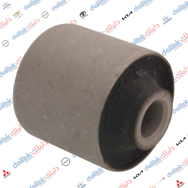 بوشة رباط ام لوي سورنتو- سنتافيا 2010 كوري