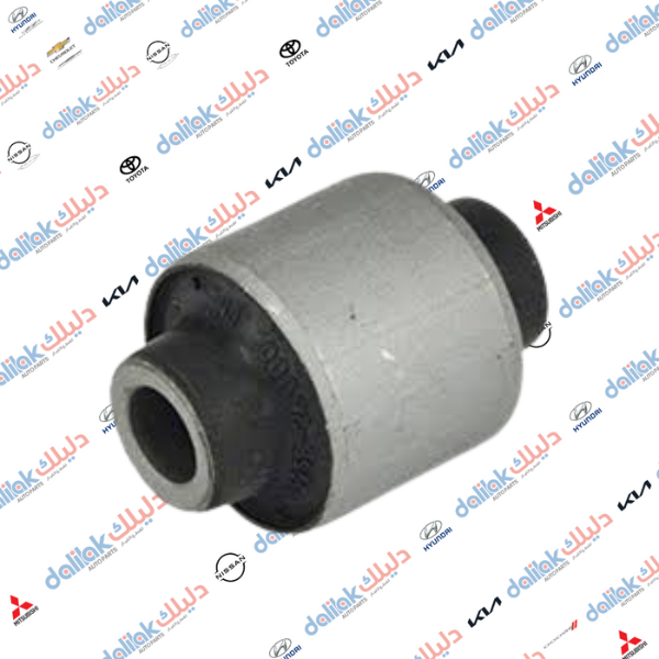 بوشة رباط خلفي ابو طوبة سنتافيا 2011 كوري