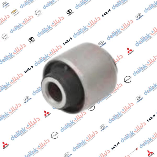 بوشة رباط خلفي بروتون -لانسر 2010