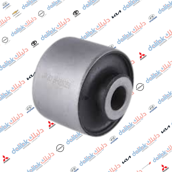 بوشة رباط خلفي بنديقه نتيفا 2010 -RBI