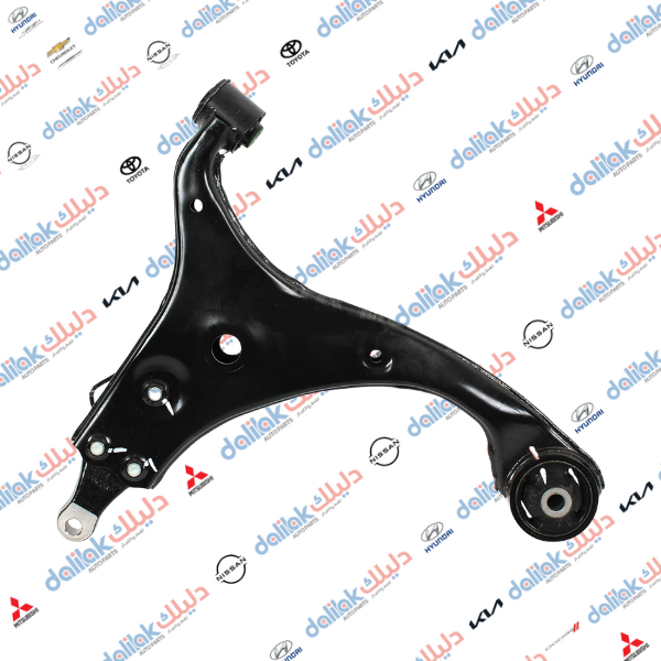 طبلة صدر يسار النترا 2010