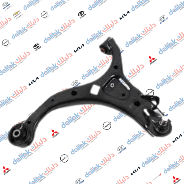 طبلة صدر يسار سنتافيا -سورنتو 2011 كوري