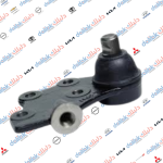 طوبة استانة ايسر كوري