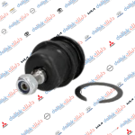 طوبة صدر سبكترا-اكسنت -بروتون -النترا 2012 كوري يلم