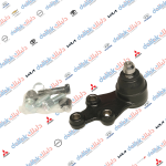 طوبة صدر كرنفال -ستاركس 2010 CTR