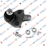 طوبة صدر كورلا 2010-2016