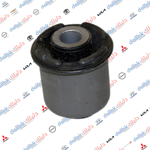 بوشة طبلة ام الشفقة سوناتا 2010 كوري