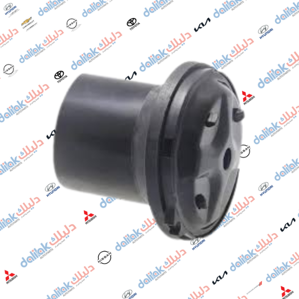 لاستيك دبل دايو عام كوري