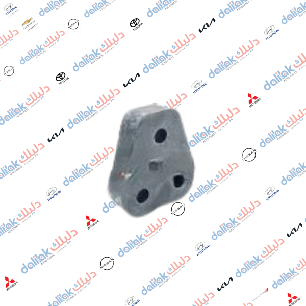 لاستيك صالصنه باجيرو -نتيفا 2010