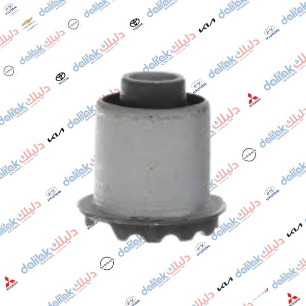 بوشة فرممة اكسنت 2010