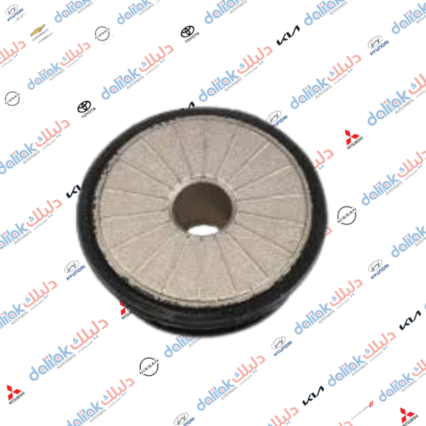 بوشة فرممه اماميه صغيره افيو 2010 كوري