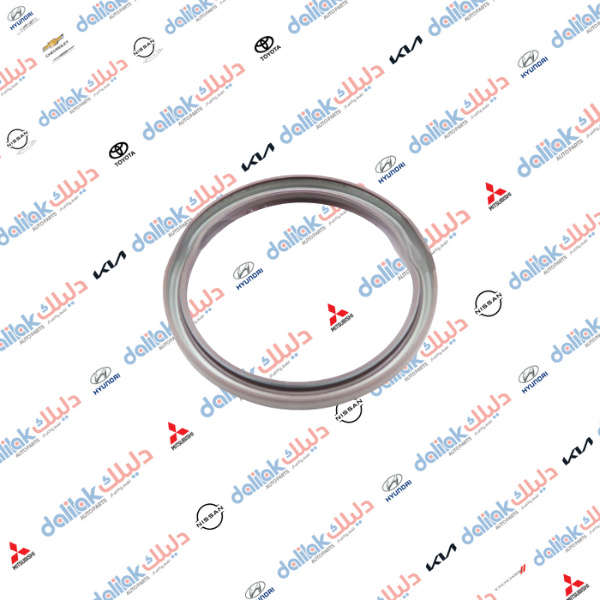 جبنة بيرن بكن خلفي فلاونزا 2010-2016 اصلي