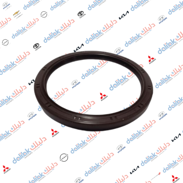 جبنة بيرن تجاري1 OEM D174940