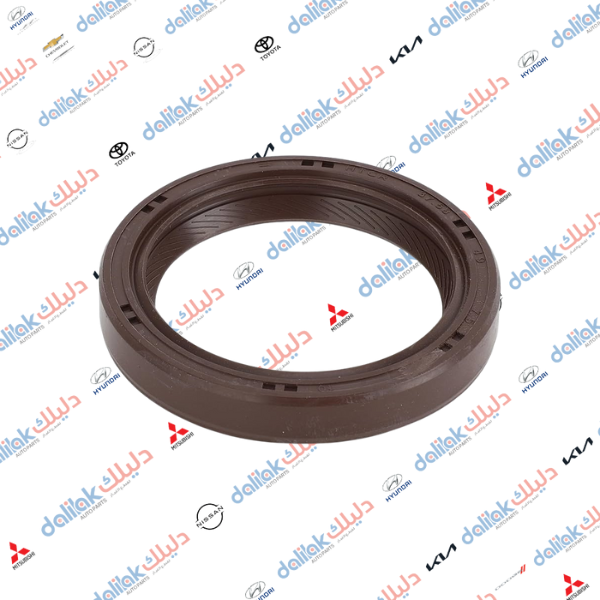 جبنة راس كرنك امامي النترا -توسان 2010 موبس