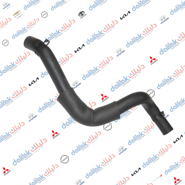 جوين راديتر اسفل سوناتا 2010 كوبي